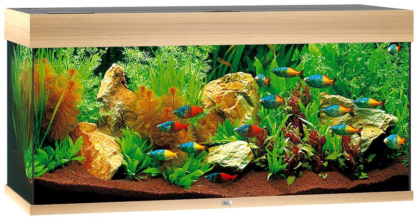 JUWEL AQUARIEN Aquarium Rio 180 LED, 180 l