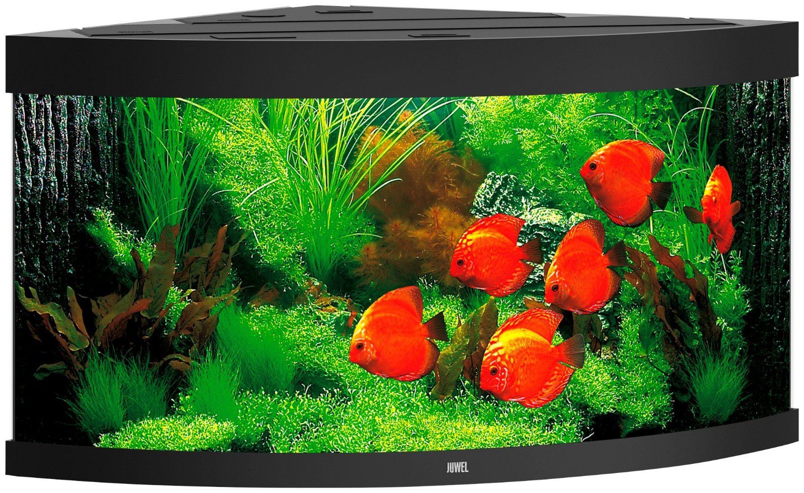 JUWEL AQUARIEN Aquarien-Set Trigon 350 LED mit Unterschrank + SBX Trigon 350