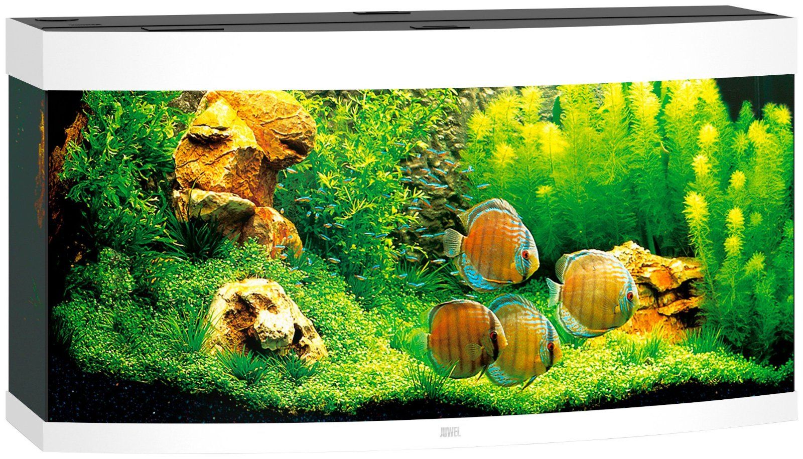 JUWEL AQUARIEN Aquarien-Set »Vision 260 LED mit Unterschrank