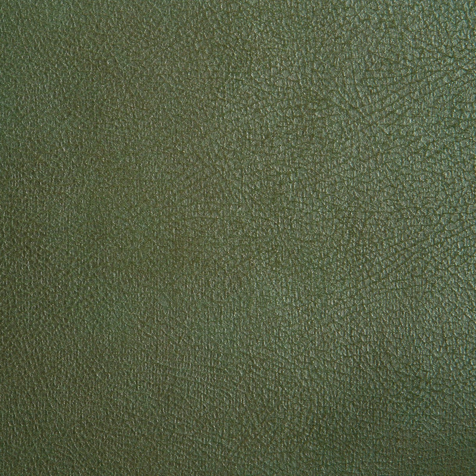 Ecksofa Lederoptik in of Places Luxus-Microfaser Style Pinto grün